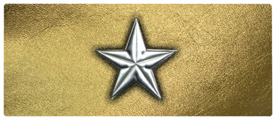 DNSEMP-L-430-SL-GD Star Silver-Gold